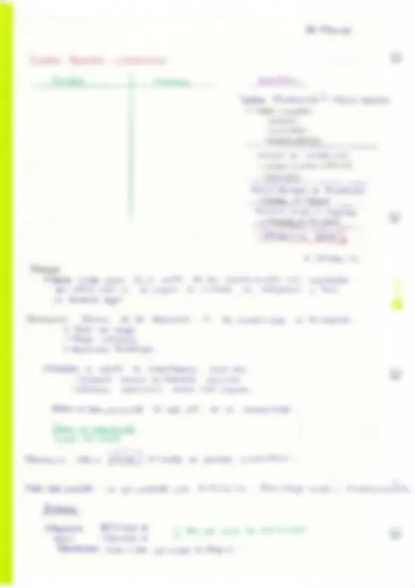 pf26