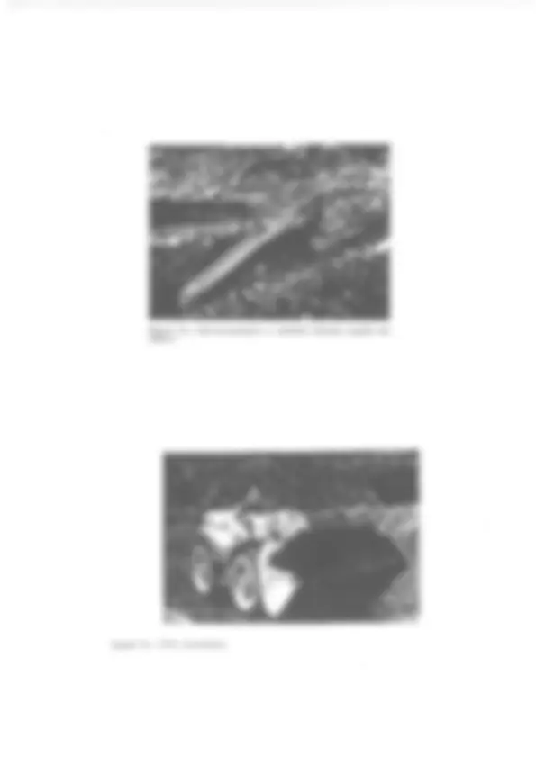 pf5