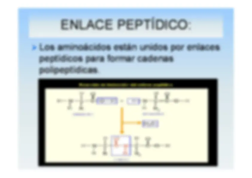 pf4e