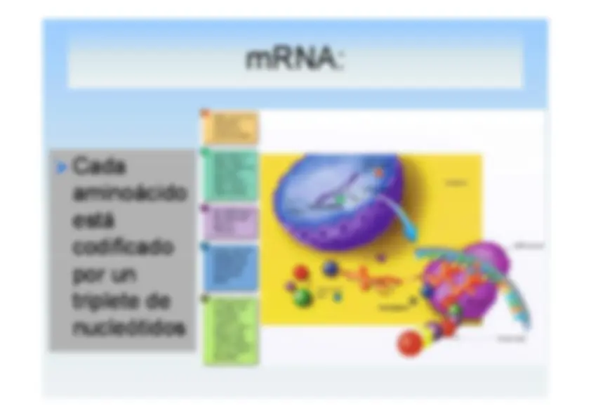pf41