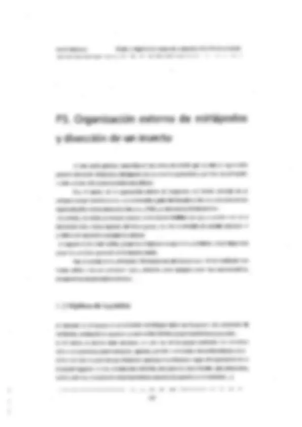 pf31