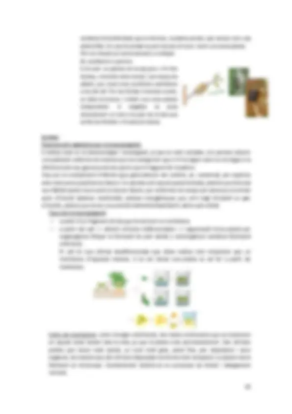pf19
