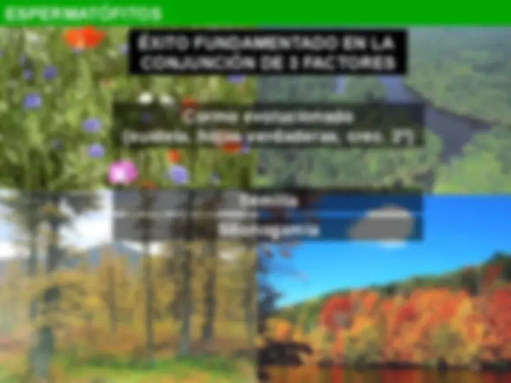 pf5