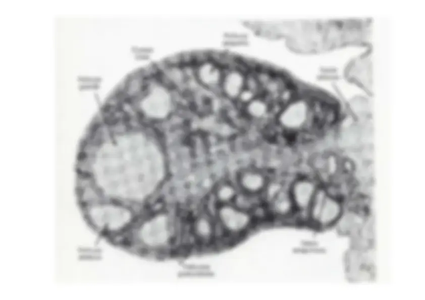 pf13
