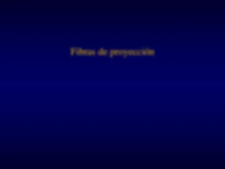 pf1e