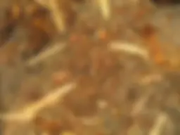 pf4