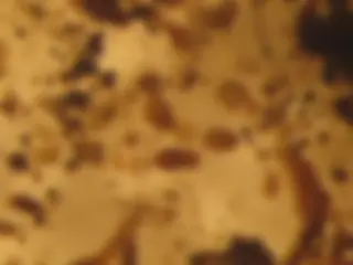 pf17