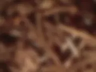pf9