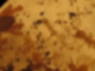 pf14
