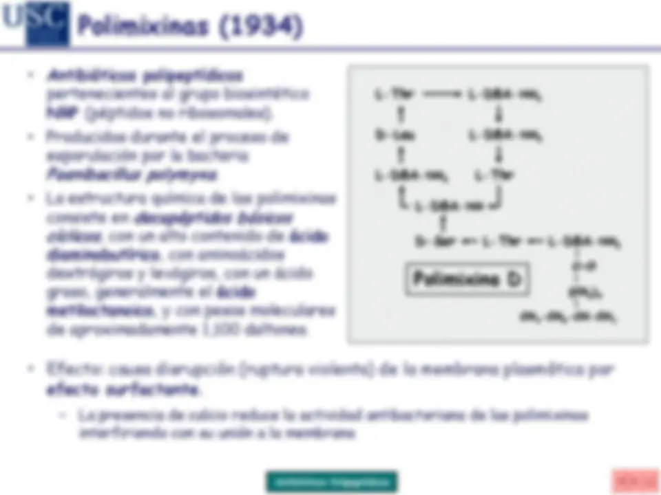pf31