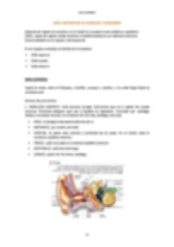 pfd