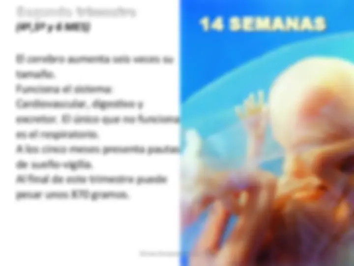 pf3