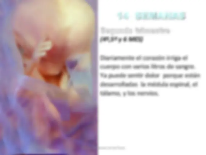 pf4