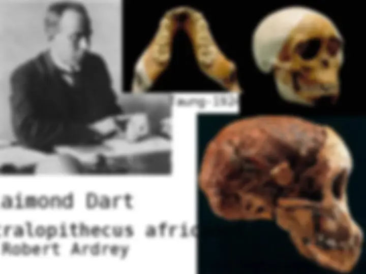 pf20