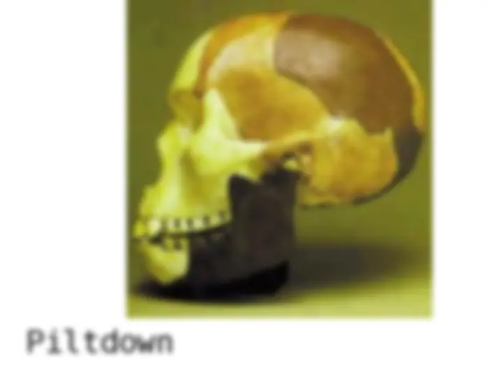 pf1e