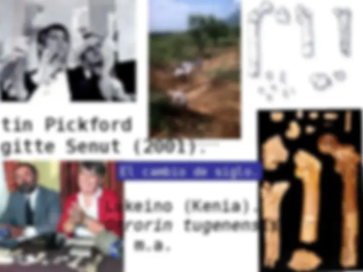 pf2f