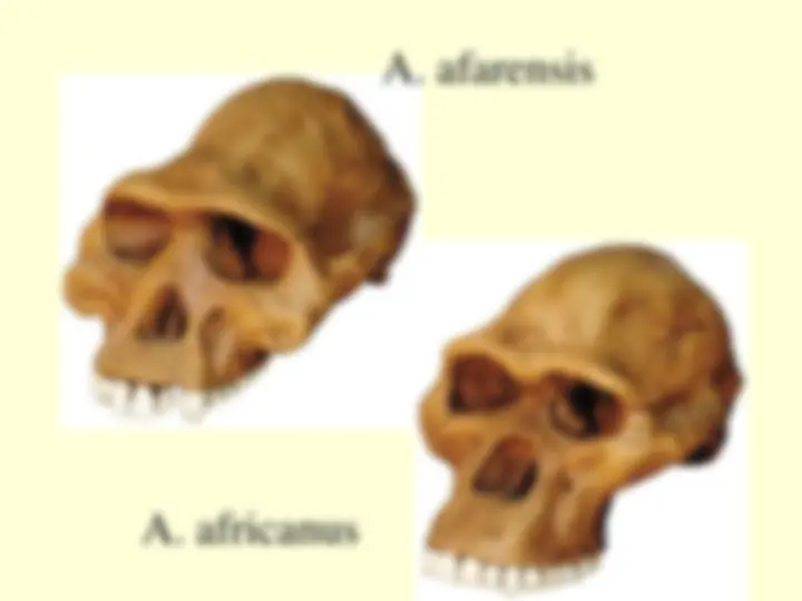 pf3a