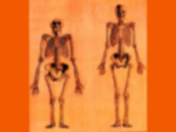 pf30