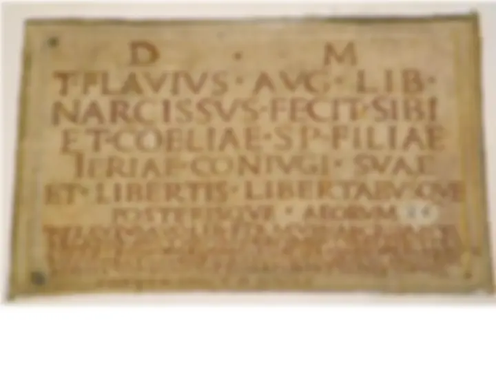 pf19