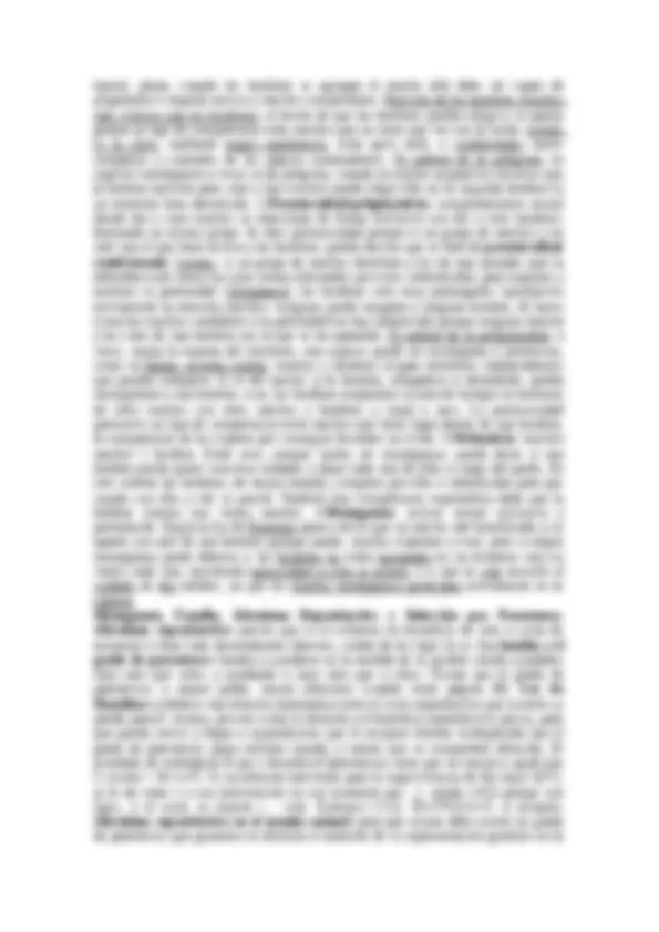 pf24