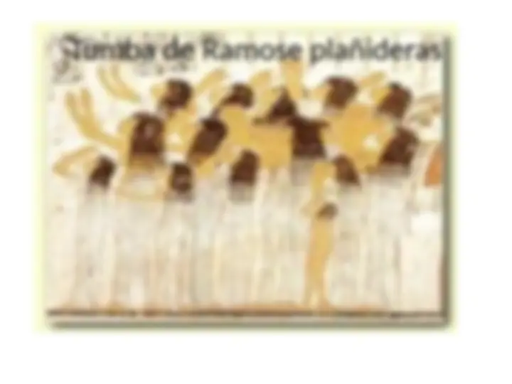 pf26