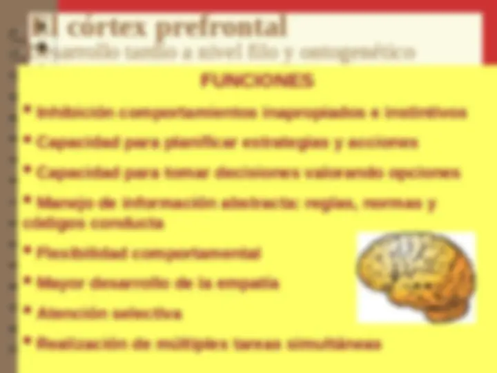 pfe