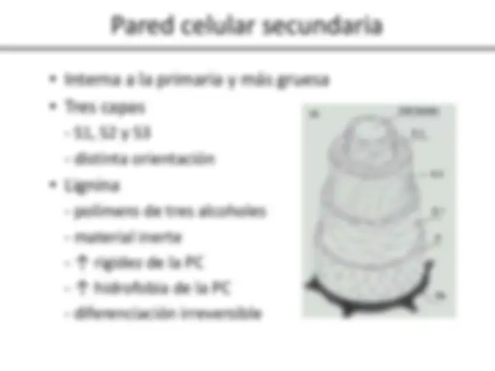 pf27