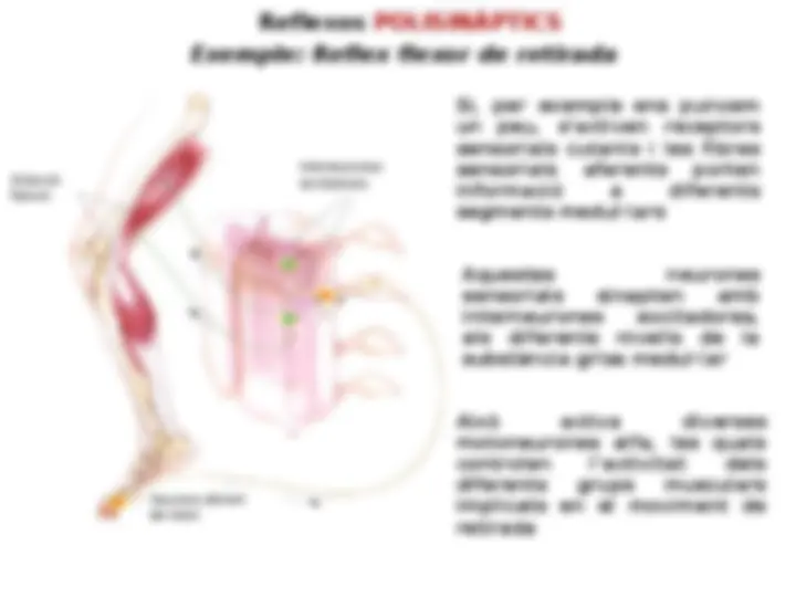 pf8