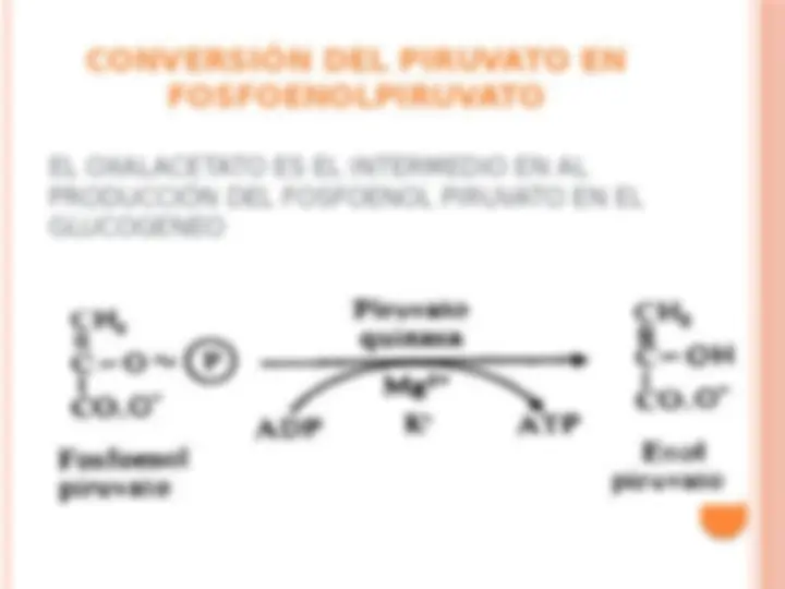 pf5