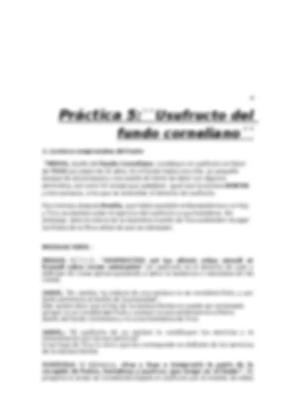 pf3