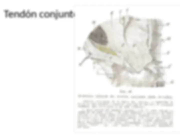 pfe