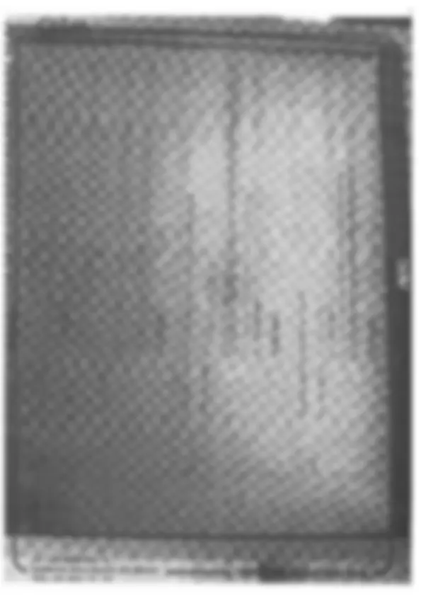 pf34