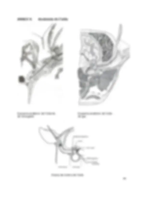 pf35