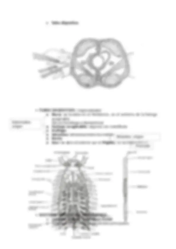 pfa
