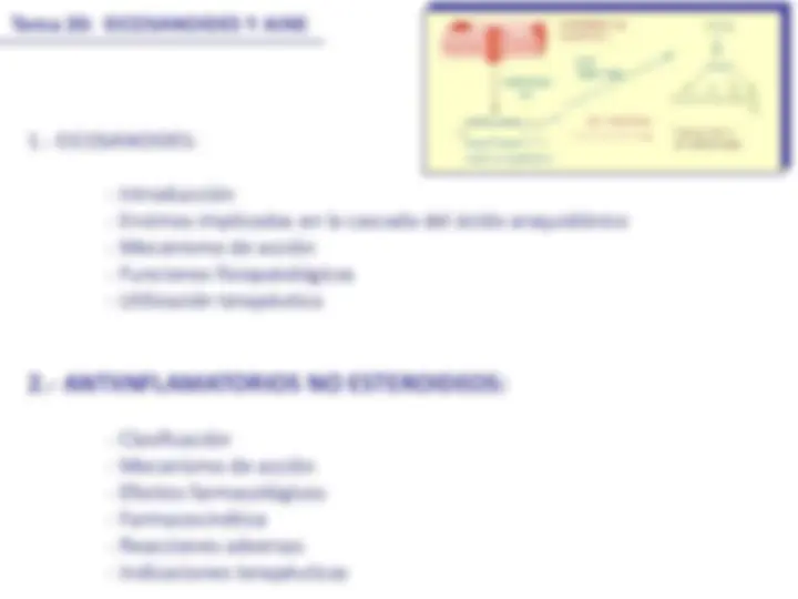 pf13