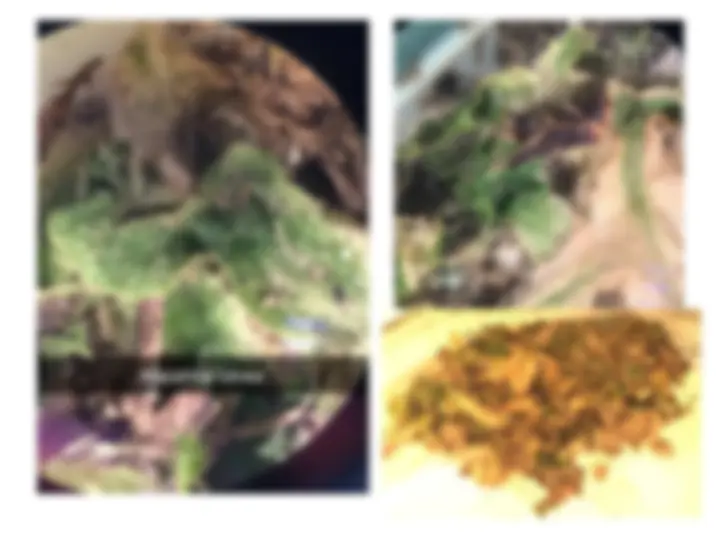 pfa