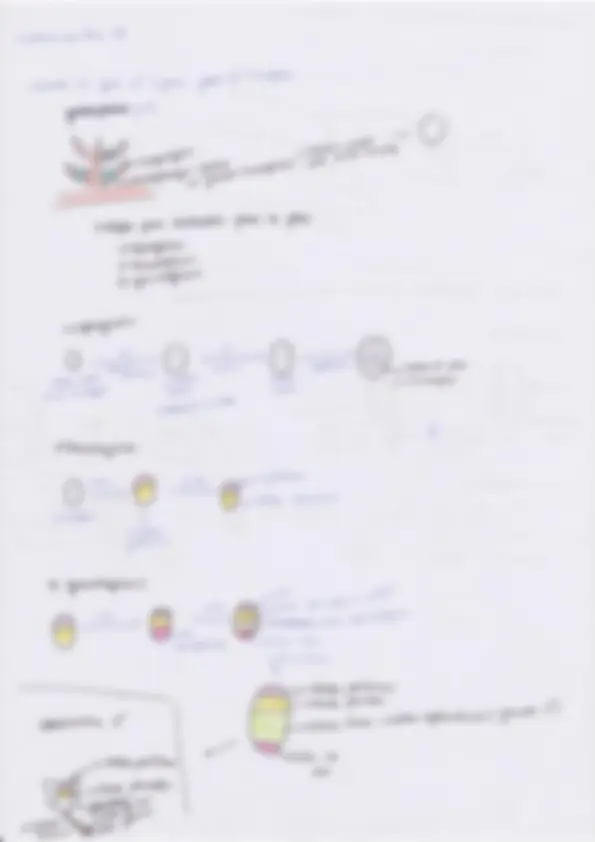 pf3