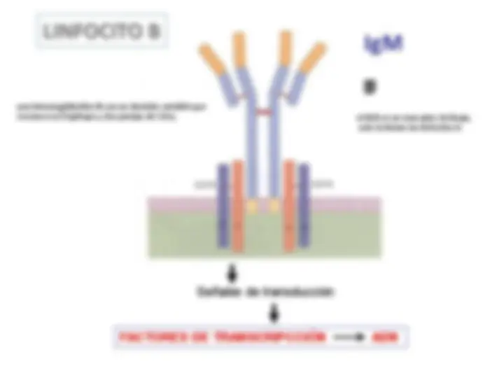 pf18