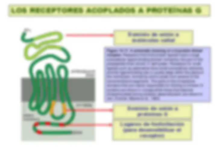 pf13