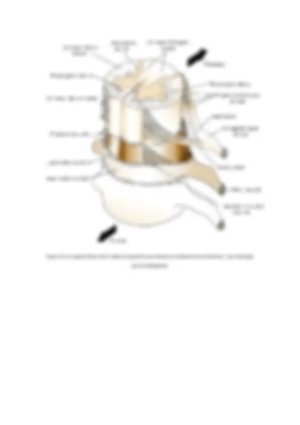 pf3