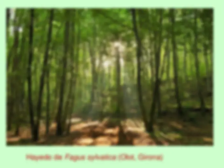 pf4