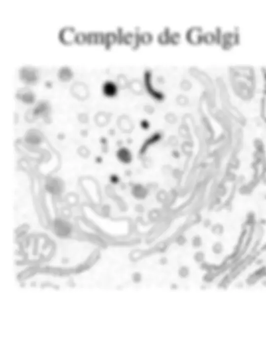 pf1c