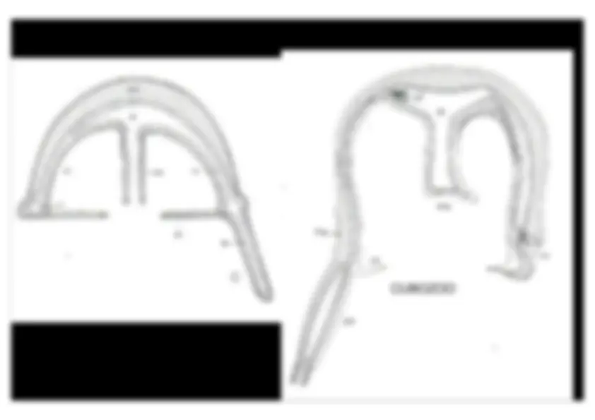pf16