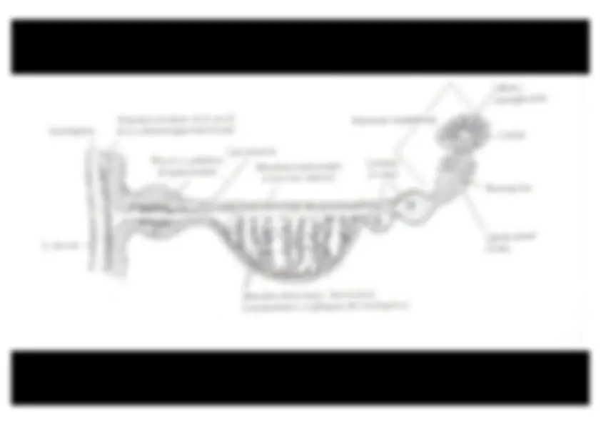 pfa