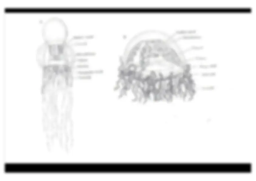 pf15