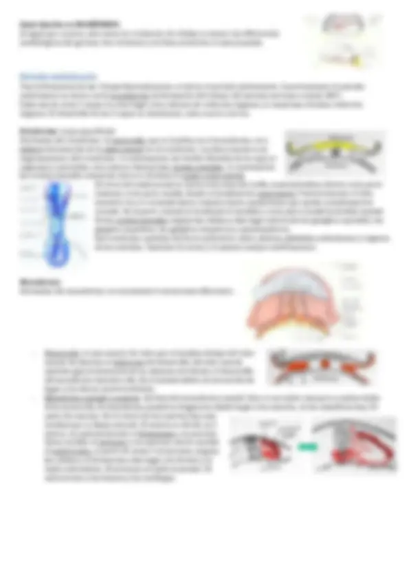 pfa