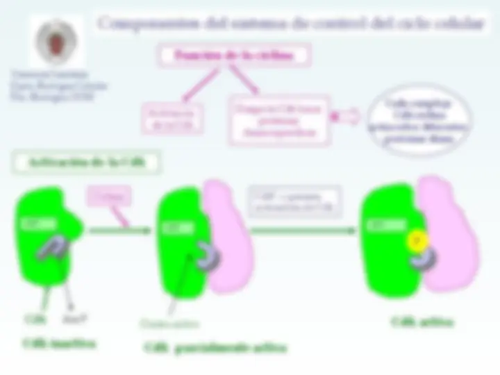 pfa