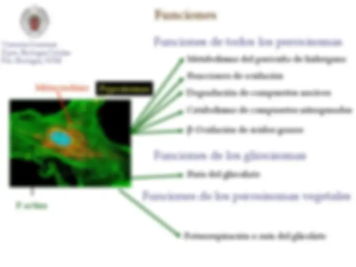 pf5