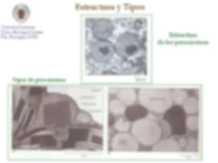 pf3