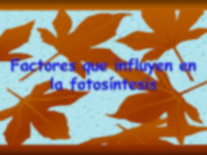 pf23